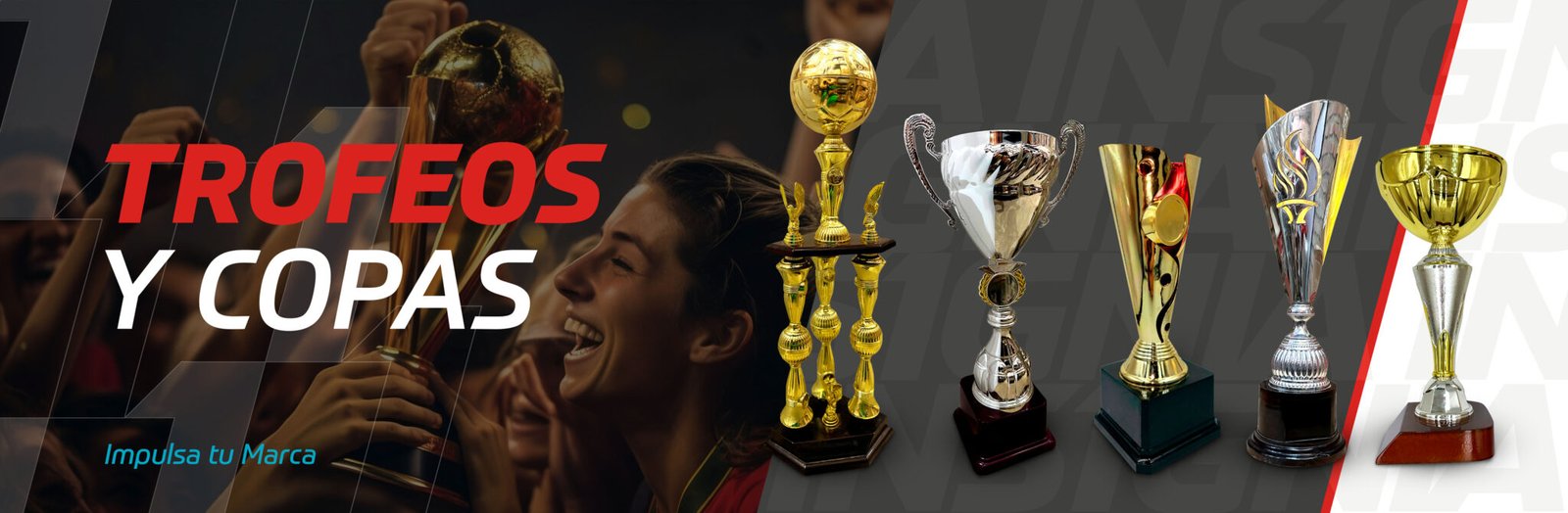 1. Banner-trofeos-y-copas-insignia-bolivia